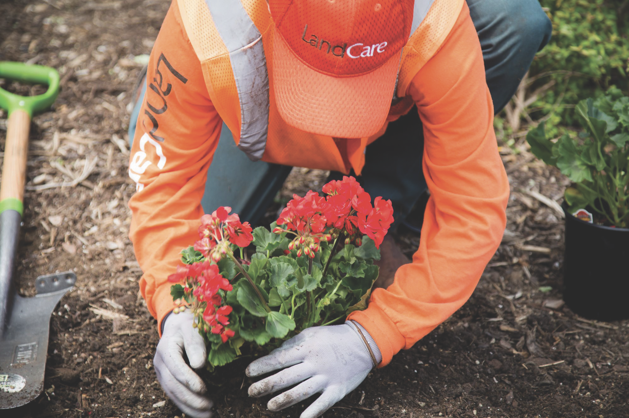 LandCare Employee Planting