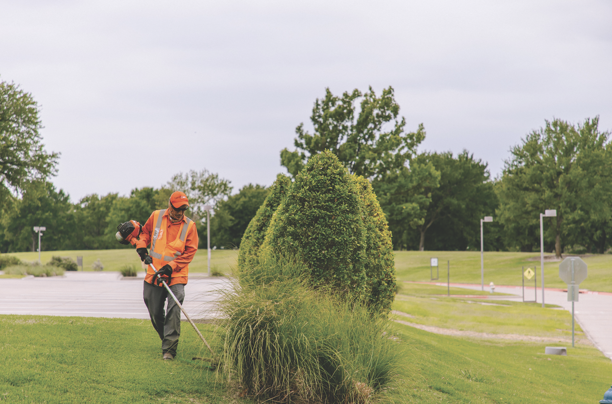 LandCare Employee weeding