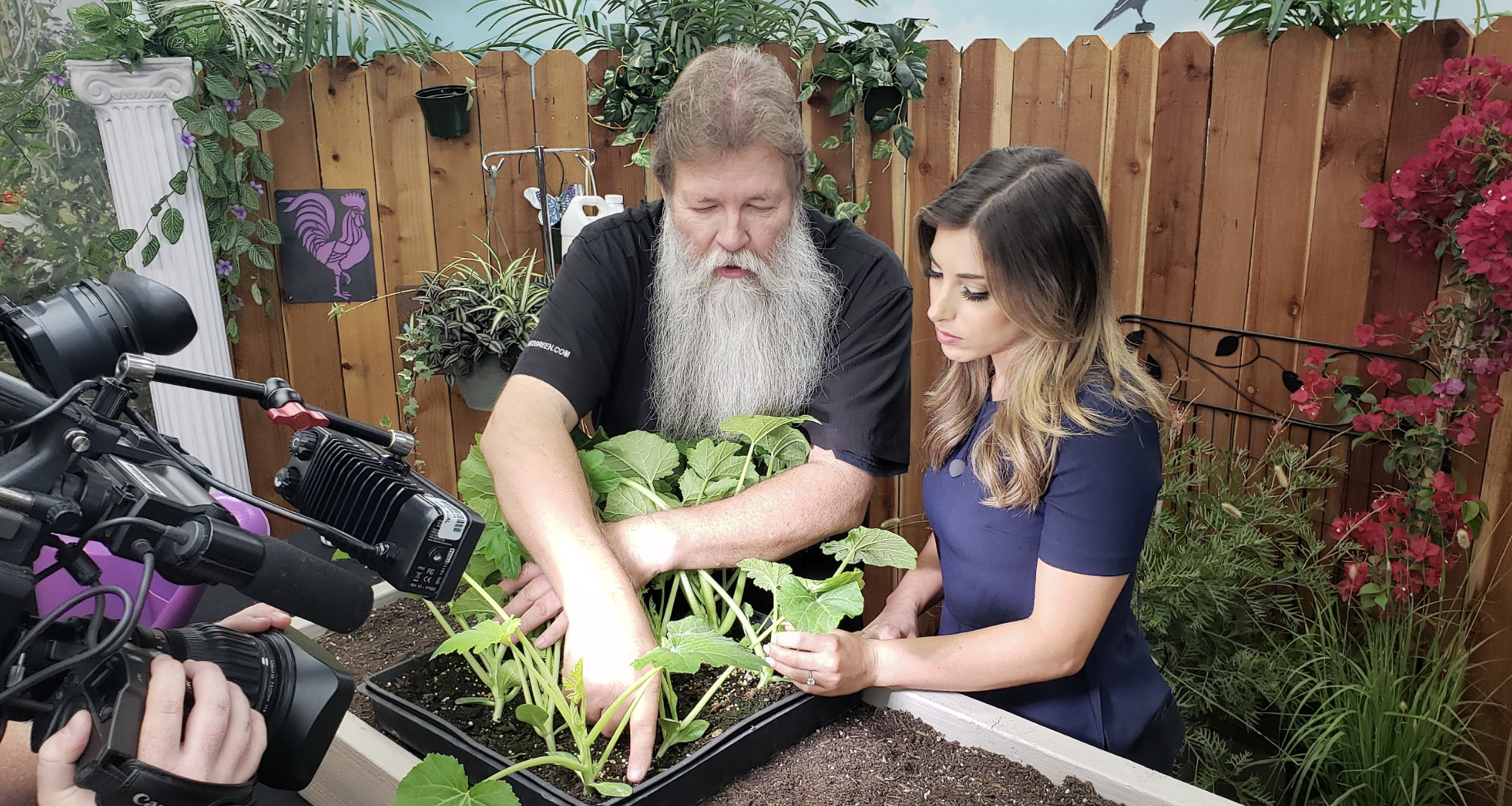 Nick Federoff on KCAL planting veggies