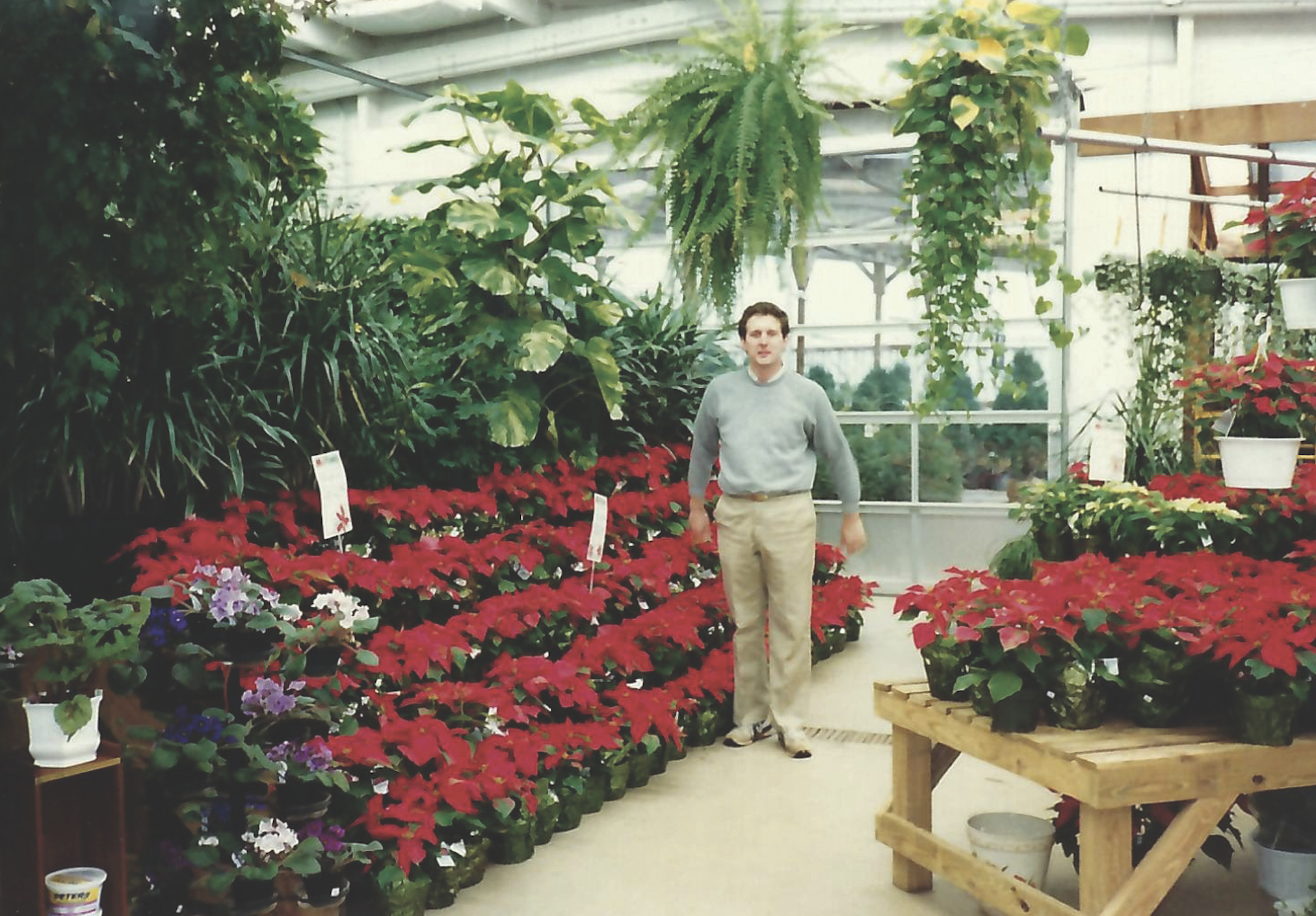 Christmas Season at McPlants