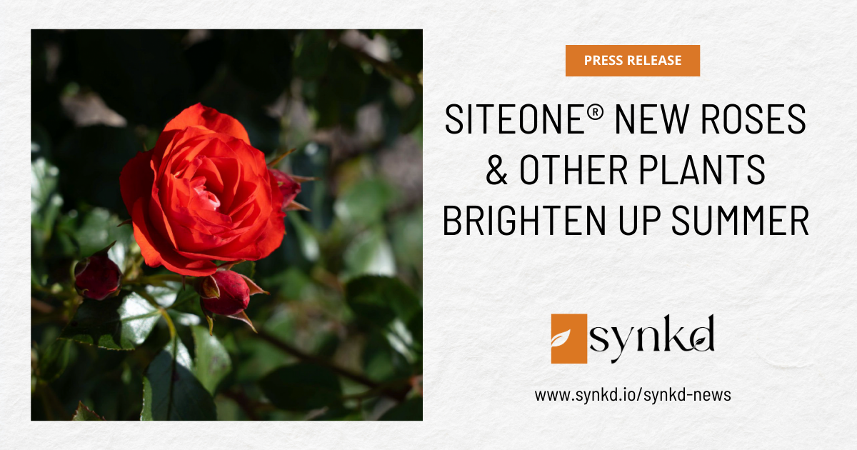 SiteOne® New Roses & Other Plants Brighten Up Summer